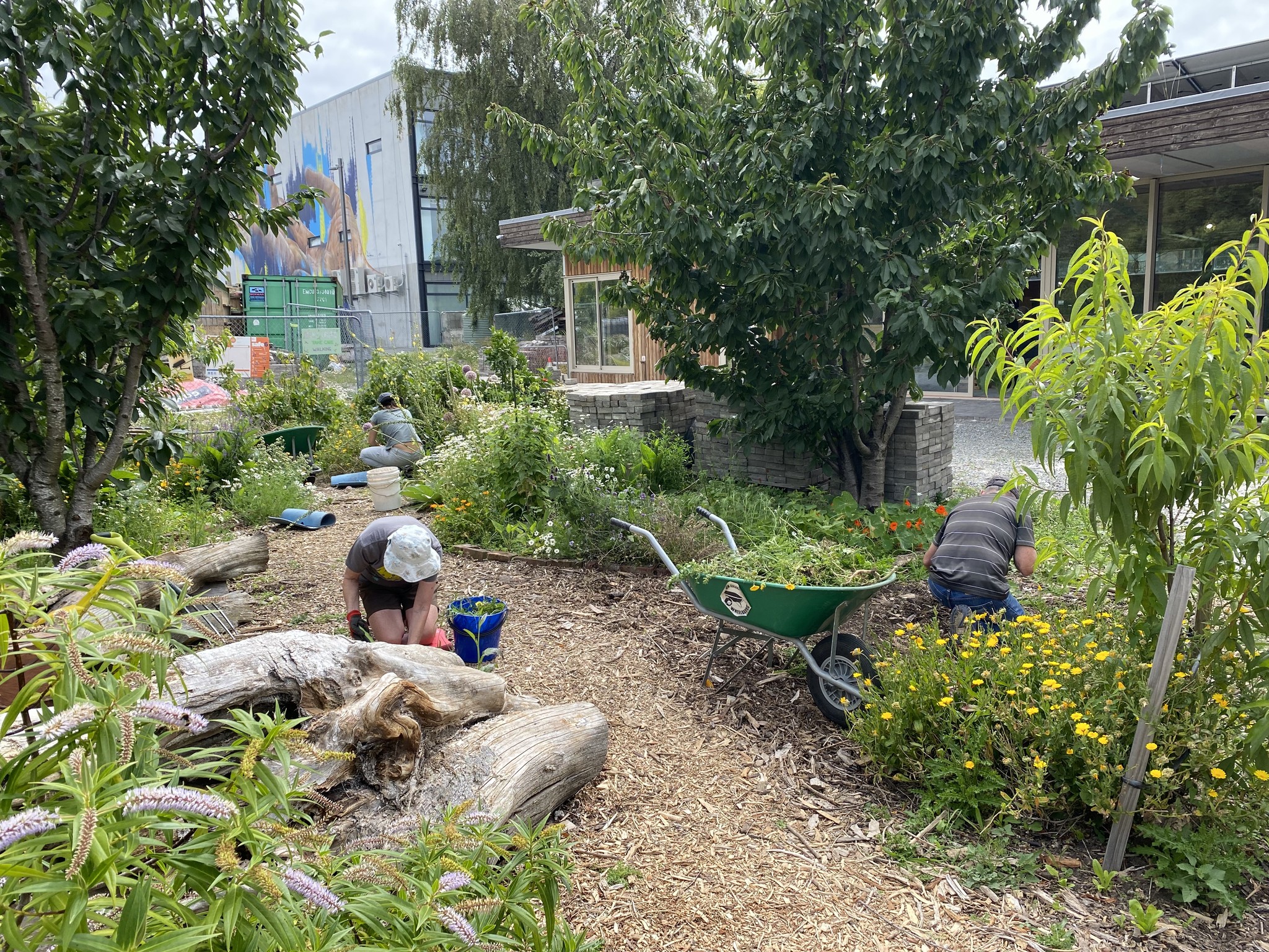 what-is-otakaro-orchard