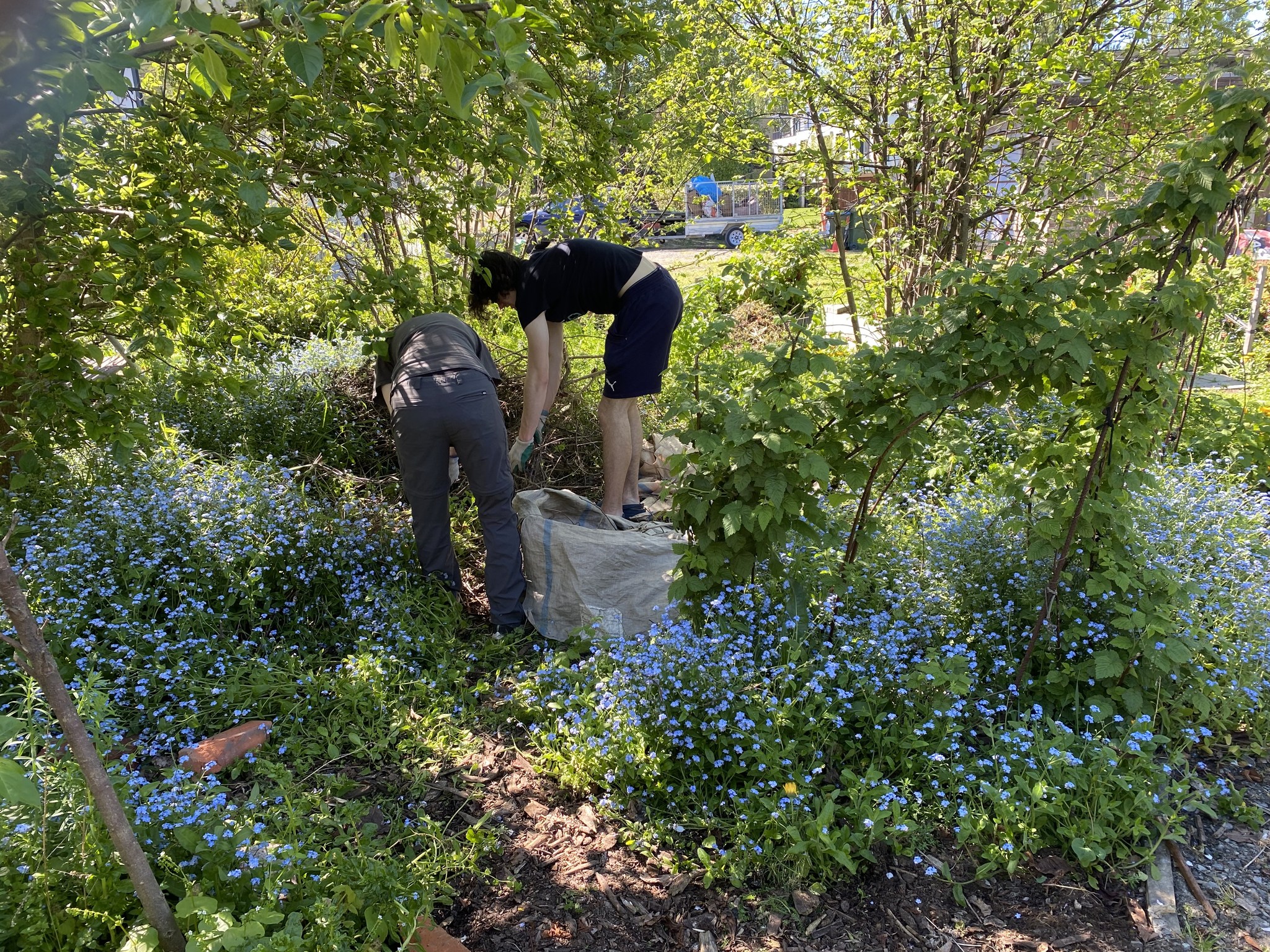volunteer-at-our-working-bee
